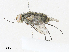  ( - CBG-A33502-A09)  @11 [ ] CreativeCommons - Attribution Share - Alike (2024) CBG Photography Group Centre for Biodiversity Genomics