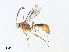  ( - CBG-A33502-E10)  @11 [ ] CreativeCommons - Attribution Share - Alike (2024) CBG Photography Group Centre for Biodiversity Genomics
