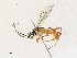  ( - CBG-A33503-B05)  @11 [ ] CreativeCommons - Attribution Share - Alike (2024) CBG Photography Group Centre for Biodiversity Genomics