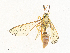  ( - CBG-A33505-A01)  @11 [ ] CreativeCommons - Attribution Share - Alike (2024) CBG Photography Group Centre for Biodiversity Genomics