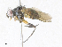  ( - CBG-A33505-F12)  @11 [ ] CreativeCommons - Attribution Share - Alike (2024) CBG Photography Group Centre for Biodiversity Genomics