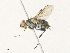  ( - CBG-A33506-G05)  @11 [ ] CreativeCommons - Attribution Share - Alike (2024) CBG Photography Group Centre for Biodiversity Genomics