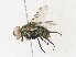  ( - CBG-A34286-D11)  @11 [ ] CreativeCommons - Attribution Share - Alike (2024) CBG Photography Group Centre for Biodiversity Genomics