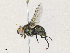 ( - CBG-A34286-E03)  @11 [ ] CreativeCommons - Attribution Share - Alike (2024) CBG Photography Group Centre for Biodiversity Genomics