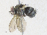  ( - CBG-A34289-E02)  @11 [ ] CreativeCommons - Attribution Share - Alike (2024) CBG Photography Group Centre for Biodiversity Genomics