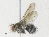  ( - CBG-A34289-E06)  @11 [ ] CreativeCommons - Attribution Share - Alike (2024) CBG Photography Group Centre for Biodiversity Genomics