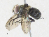  ( - CBG-A34289-E07)  @11 [ ] CreativeCommons - Attribution Share - Alike (2024) CBG Photography Group Centre for Biodiversity Genomics