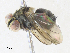  ( - CBG-A34289-E10)  @11 [ ] CreativeCommons - Attribution Share - Alike (2024) CBG Photography Group Centre for Biodiversity Genomics