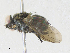  ( - CBG-A34289-F07)  @11 [ ] CreativeCommons - Attribution Share - Alike (2024) CBG Photography Group Centre for Biodiversity Genomics