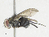  ( - CBG-A34289-F09)  @11 [ ] CreativeCommons - Attribution Share - Alike (2024) CBG Photography Group Centre for Biodiversity Genomics