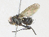  ( - CBG-A34289-F10)  @11 [ ] CreativeCommons - Attribution Share - Alike (2024) CBG Photography Group Centre for Biodiversity Genomics
