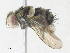 ( - CBG-A34289-F11)  @11 [ ] CreativeCommons - Attribution Share - Alike (2024) CBG Photography Group Centre for Biodiversity Genomics