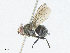  ( - CBG-A34289-G01)  @11 [ ] CreativeCommons - Attribution Share - Alike (2024) CBG Photography Group Centre for Biodiversity Genomics