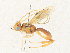  ( - CBG-A34290-C03)  @11 [ ] CreativeCommons - Attribution Share - Alike (2024) CBG Photography Group Centre for Biodiversity Genomics