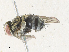  ( - CBG-A34290-E04)  @11 [ ] CreativeCommons - Attribution Share - Alike (2024) CBG Photography Group Centre for Biodiversity Genomics