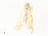  ( - CBG-A34300-B09)  @11 [ ] CreativeCommons - Attribution Share - Alike (2024) CBG Photography Group Centre for Biodiversity Genomics