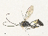  ( - CBG-A34300-G04)  @11 [ ] CreativeCommons - Attribution Share - Alike (2024) CBG Photography Group Centre for Biodiversity Genomics