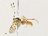  ( - CBG-A33487-G03)  @11 [ ] CreativeCommons - Attribution Share-Alike (2024) CBG Photography Group Centre for Biodiversity Genomics