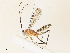  ( - CBG-A33487-H07)  @11 [ ] CreativeCommons - Attribution Share-Alike (2024) CBG Photography Group Centre for Biodiversity Genomics