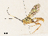  ( - CBG-A33489-H06)  @11 [ ] CreativeCommons - Attribution Share - Alike (2024) CBG Photography Group Centre for Biodiversity Genomics