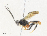  ( - CBG-A33490-F06)  @11 [ ] CreativeCommons - Attribution Share - Alike (2024) CBG Photography Group Centre for Biodiversity Genomics