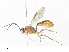  ( - CBG-A33491-B12)  @11 [ ] CreativeCommons - Attribution Share - Alike (2024) CBG Photography Group Centre for Biodiversity Genomics