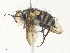  ( - CBG-A33491-E07)  @11 [ ] CreativeCommons - Attribution Share - Alike (2024) CBG Photography Group Centre for Biodiversity Genomics