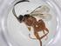  ( - CBG-A34110-H05)  @11 [ ] CreativeCommons - Attribution Share - Alike (2024) Centre for Biodiversity Genomics Centre for Biodiversity Genomics