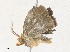  ( - CBG-A34305-B07)  @11 [ ] CreativeCommons - Attribution Share - Alike (2024) CBG Photography Group Centre for Biodiversity Genomics