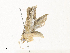  ( - CBG-A34309-G08)  @11 [ ] CreativeCommons - Attribution Share - Alike (2024) CBG Photography Group Centre for Biodiversity Genomics