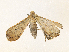  ( - CBG-A34309-H05)  @11 [ ] CreativeCommons - Attribution Share - Alike (2024) CBG Photography Group Centre for Biodiversity Genomics