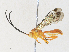  ( - CBG-A34319-D04)  @11 [ ] CreativeCommons - Attribution Share - Alike (2024) CBG Photography Group Centre for Biodiversity Genomics