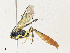  ( - CBG-A34319-D06)  @11 [ ] CreativeCommons - Attribution Share - Alike (2024) CBG Photography Group Centre for Biodiversity Genomics