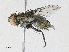  ( - CBG-A34319-F05)  @11 [ ] CreativeCommons - Attribution Share - Alike (2024) CBG Photography Group Centre for Biodiversity Genomics