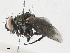 ( - CBG-A34319-F08)  @11 [ ] CreativeCommons - Attribution Share - Alike (2024) CBG Photography Group Centre for Biodiversity Genomics