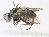  (Thelairaporia Janzen2109 - CBG-A34319-G10)  @11 [ ] CreativeCommons - Attribution Share - Alike (2024) CBG Photography Group Centre for Biodiversity Genomics
