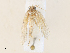  ( - CBG-A34319-H03)  @11 [ ] CreativeCommons - Attribution Share - Alike (2024) CBG Photography Group Centre for Biodiversity Genomics