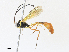  ( - CBG-A34320-A09)  @11 [ ] CreativeCommons - Attribution Share - Alike (2024) CBG Photography Group Centre for Biodiversity Genomics