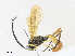  ( - CBG-A34320-B09)  @11 [ ] CreativeCommons - Attribution Share - Alike (2024) CBG Photography Group Centre for Biodiversity Genomics