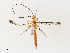  ( - CBG-A34320-D06)  @11 [ ] CreativeCommons - Attribution Share - Alike (2024) CBG Photography Group Centre for Biodiversity Genomics