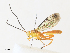  ( - CBG-A34320-G10)  @11 [ ] CreativeCommons - Attribution Share - Alike (2024) CBG Photography Group Centre for Biodiversity Genomics