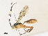  ( - CBG-A34320-H08)  @11 [ ] CreativeCommons - Attribution Share - Alike (2024) CBG Photography Group Centre for Biodiversity Genomics