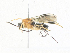  ( - CBG-A34321-G01)  @11 [ ] CreativeCommons - Attribution Share - Alike (2024) CBG Photography Group Centre for Biodiversity Genomics