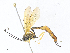  ( - CBG-A34322-C12)  @11 [ ] CreativeCommons - Attribution Share - Alike (2024) CBG Photography Group Centre for Biodiversity Genomics
