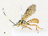  ( - CBG-A34322-E04)  @11 [ ] CreativeCommons - Attribution Share - Alike (2024) CBG Photography Group Centre for Biodiversity Genomics