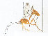  ( - CBG-A34322-F10)  @11 [ ] CreativeCommons - Attribution Share - Alike (2024) CBG Photography Group Centre for Biodiversity Genomics