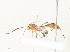  ( - CBG-A34323-C06)  @11 [ ] CreativeCommons - Attribution Share - Alike (2024) CBG Photography Group Centre for Biodiversity Genomics