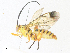  ( - CBG-A34323-F12)  @11 [ ] CreativeCommons - Attribution Share - Alike (2024) CBG Photography Group Centre for Biodiversity Genomics