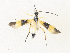  ( - CBG-A34324-C07)  @11 [ ] CreativeCommons - Attribution Share - Alike (2024) CBG Photography Group Centre for Biodiversity Genomics