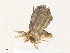 ( - CBG-A34324-E03)  @11 [ ] CreativeCommons - Attribution Share - Alike (2024) CBG Photography Group Centre for Biodiversity Genomics
